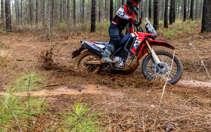 2026 Honda CRF300L Rally ABS