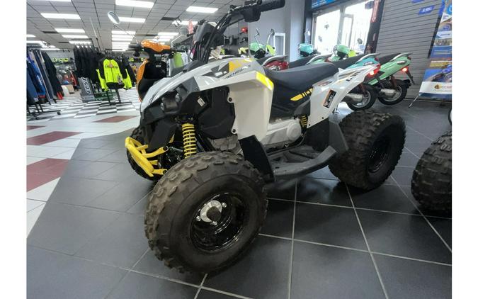 2024 Can-Am Renegade 2X4 110-4ST