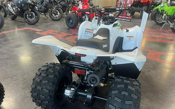 2026 Kawasaki KFX 90