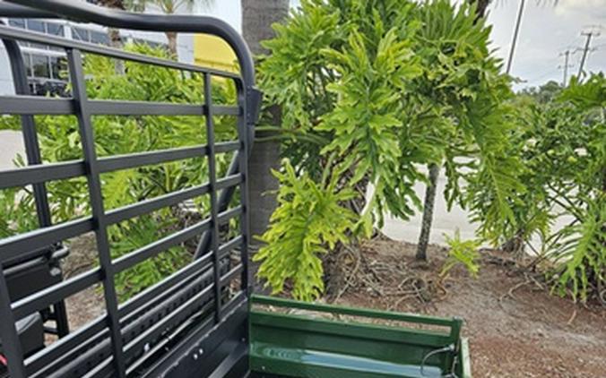 2026 Kawasaki Mule 4010 Trans4x4