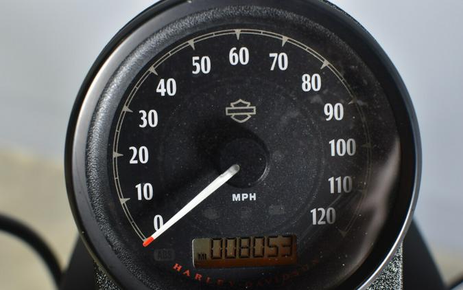 2022 Harley-Davidson Iron 883