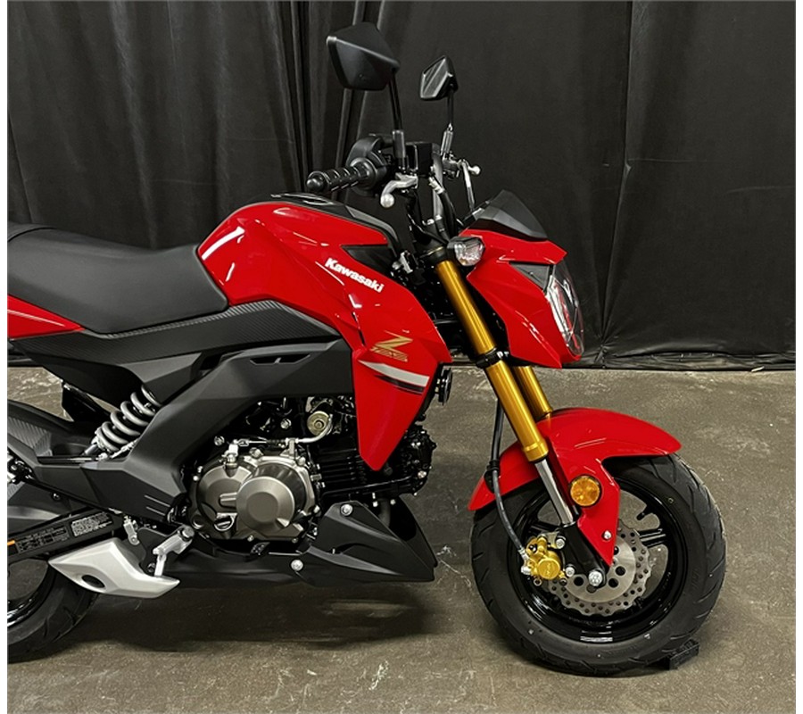 2023 Kawasaki Z125 PRO