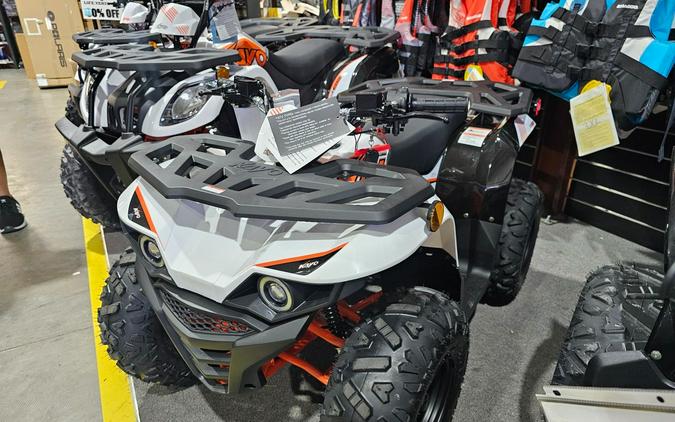 2026 Kayo Bull 125 EFI