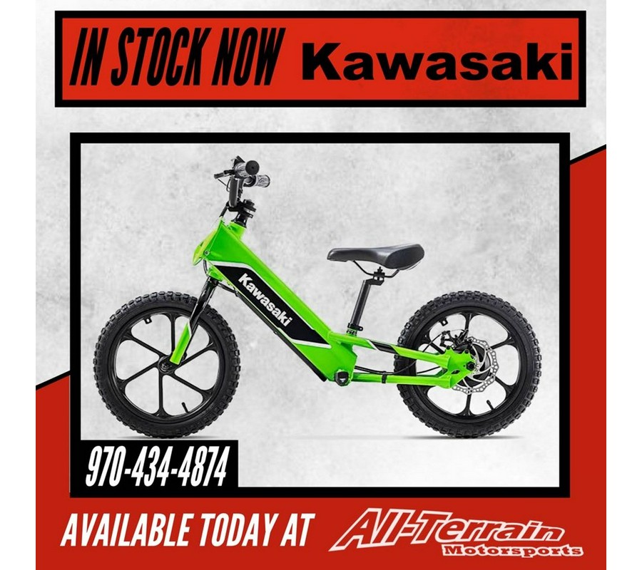2023 Kawasaki ELEKTRODE™