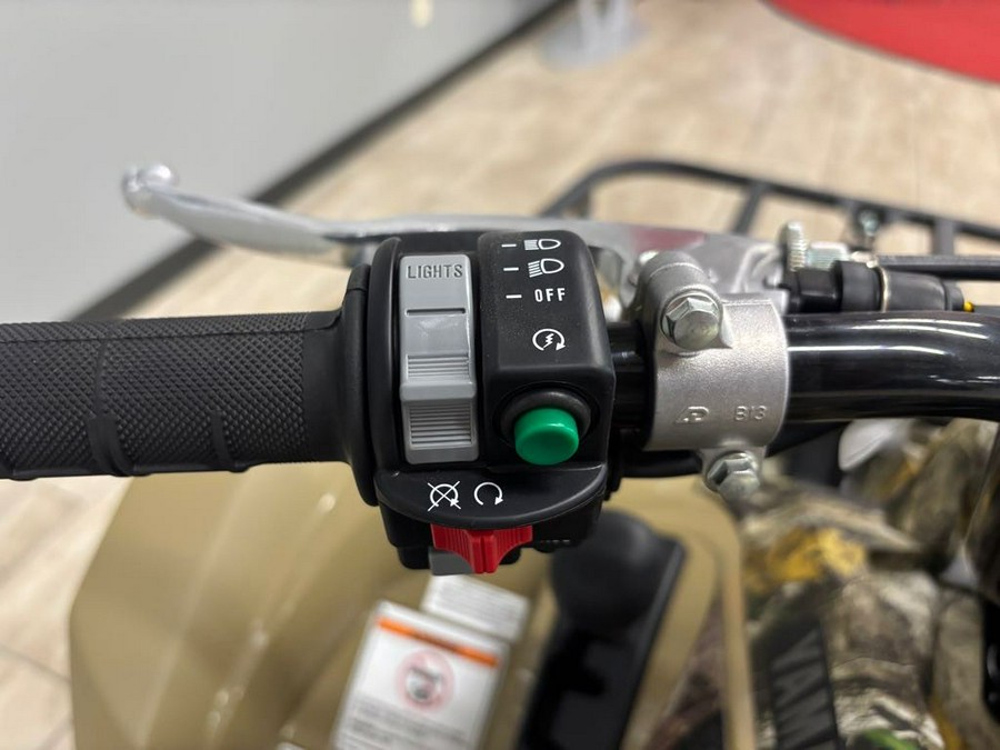 2025 Yamaha Kodiak 450 EPS