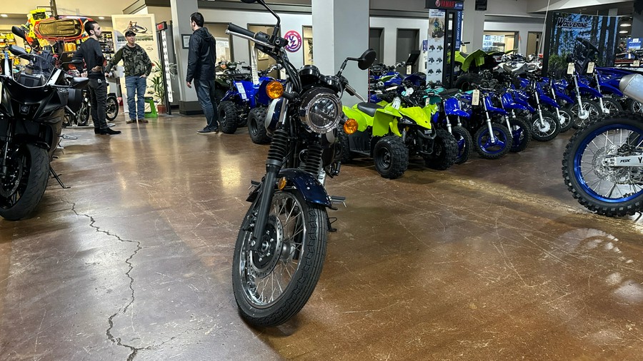 2025 Kawasaki W 230 ABS