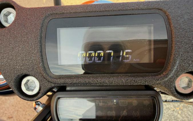 2024 Harley-Davidson® Street Bob® 114 Blue Burst