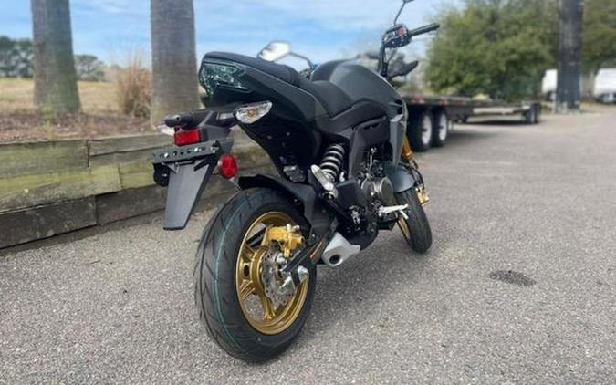 2024 Kawasaki Z125 PRO