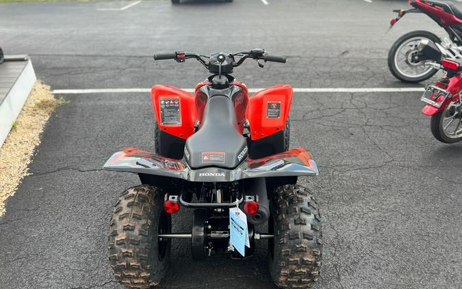 2024 Honda TRX90X