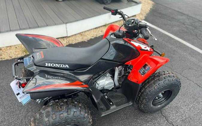 2024 Honda TRX90X