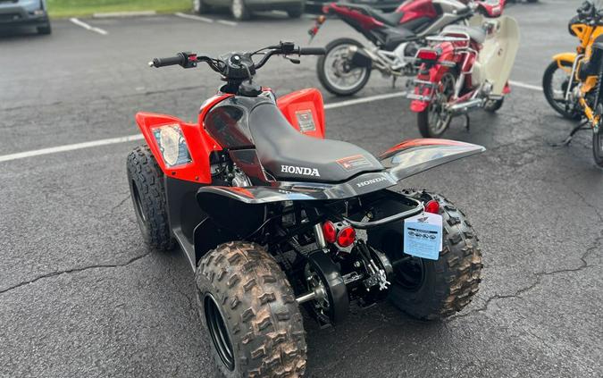 2024 Honda TRX90X