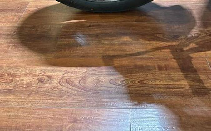 2025 Indian Motorcycle Scout® Classic