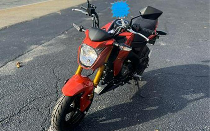 2025 Kawasaki Z125 Pro