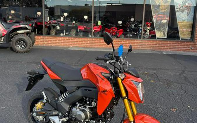 2025 Kawasaki Z125 Pro
