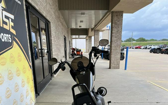 2019 Harley-Davidson Sportster Iron 883