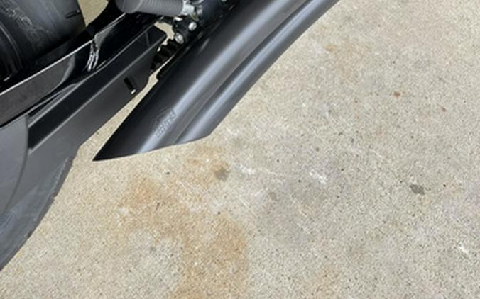 2019 Harley-Davidson Sportster Iron 883