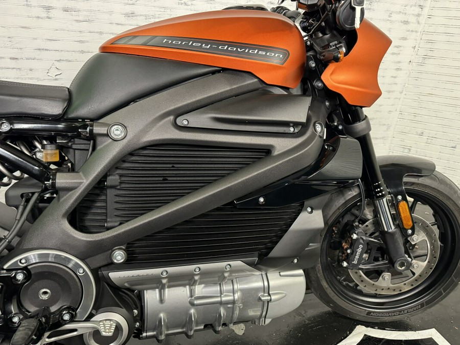 2020 Harley-Davidson LiveWire™