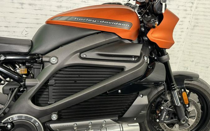 2020 Harley-Davidson LiveWire™