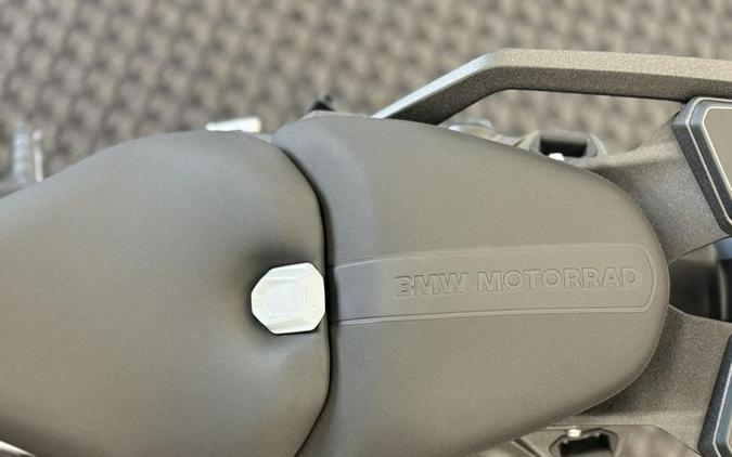 New 2026 BMW R 1300 RS