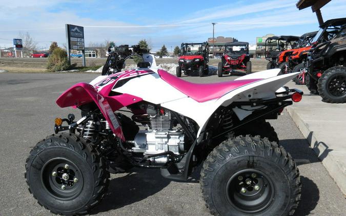 2023 Honda® TRX250X