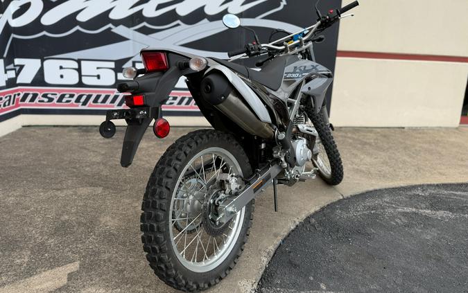 2023 Kawasaki KLX 230 S ABS
