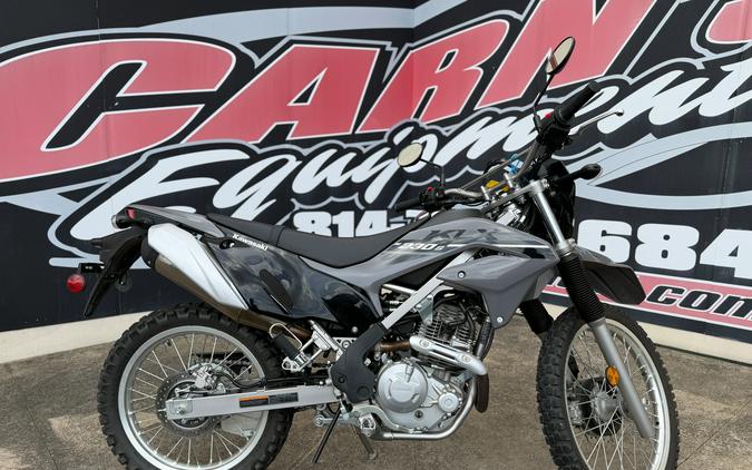 2023 Kawasaki KLX 230 S ABS