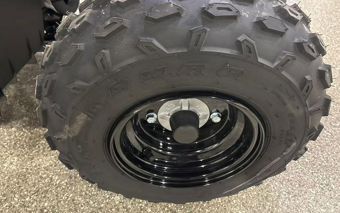 2025 Can-Am RENEGADE 70 EFI -CATALYST GREY & NEO YELLOW