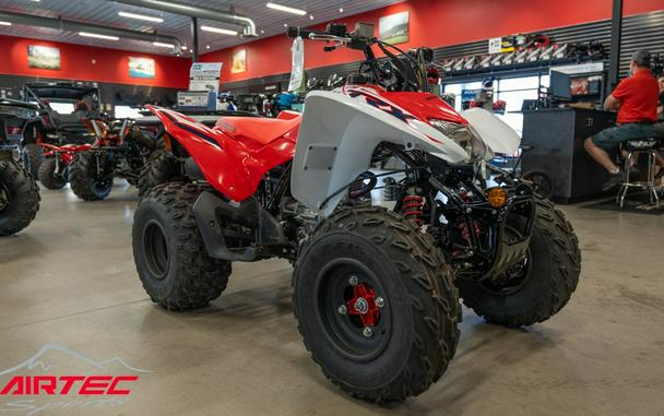 2023 Honda TRX 250X