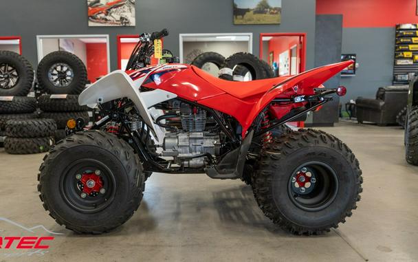 2023 Honda TRX 250X