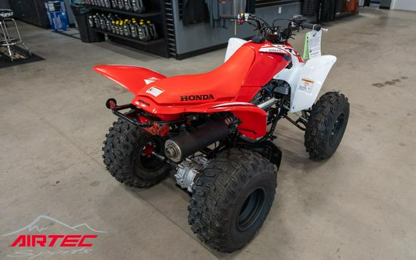 2023 Honda TRX 250X