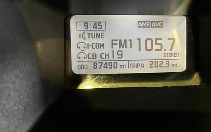 2008 Honda Gold Wing® Premium Audio