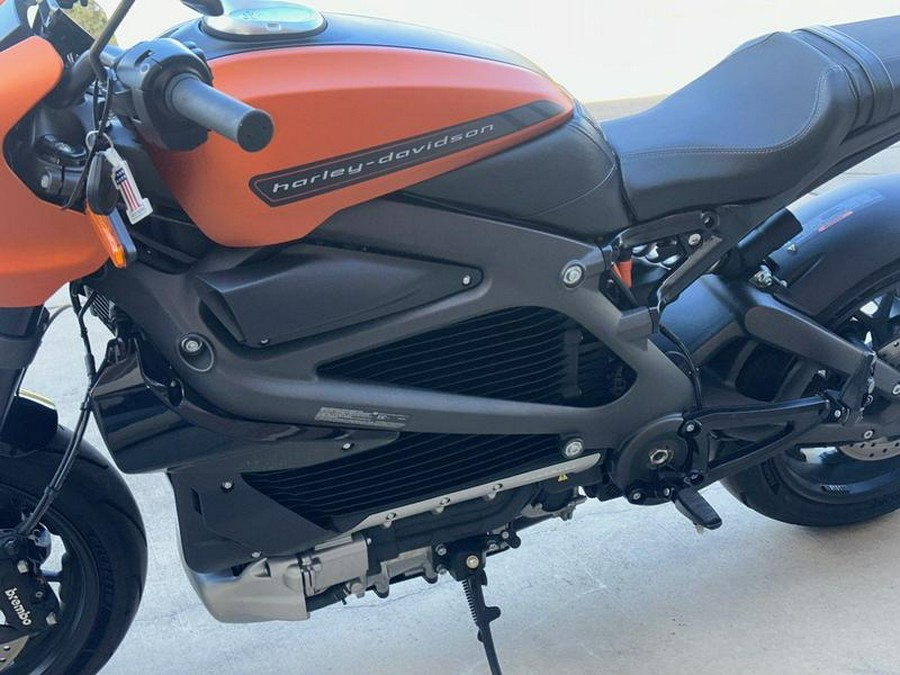 2020 Harley-Davidson® ELW - LiveWire™