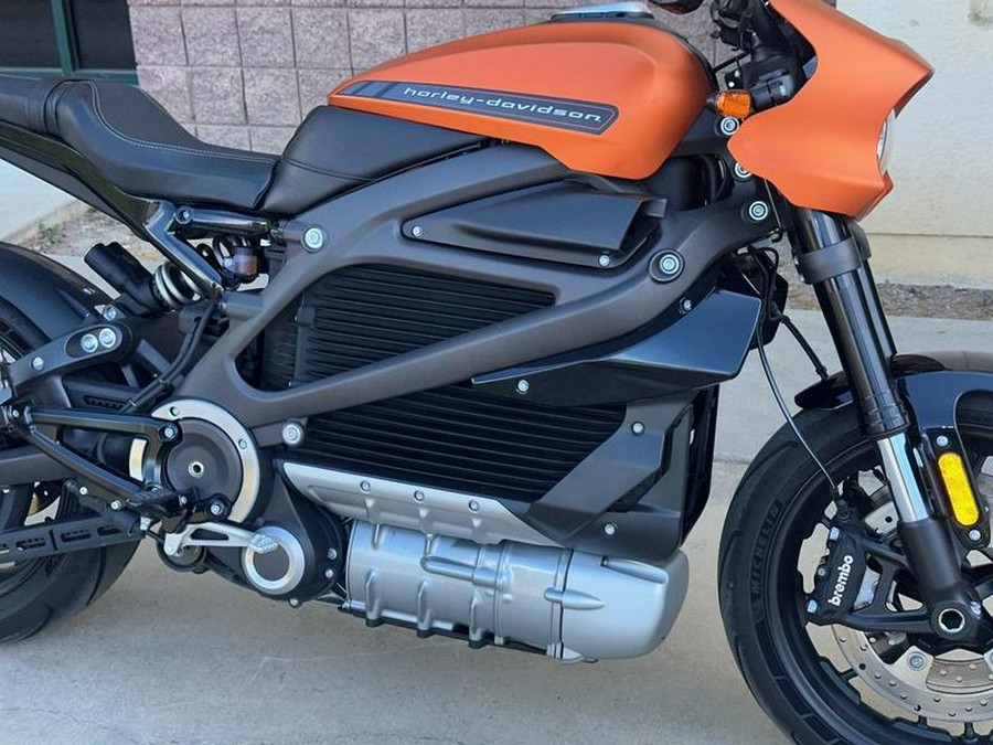 2020 Harley-Davidson® ELW - LiveWire™