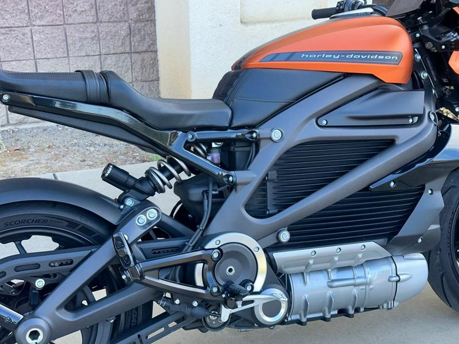 2020 Harley-Davidson® ELW - LiveWire™