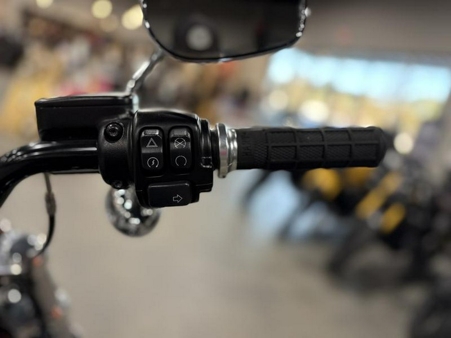 2021 Harley-Davidson® FXST - Softail® Standard