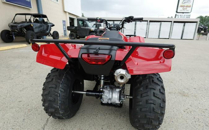 2026 TRX250TM1 Recon 250 - Honda