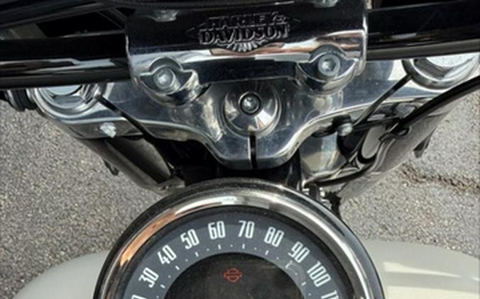 2019 Harley-Davidson FLSL - Softail Softail Slim
