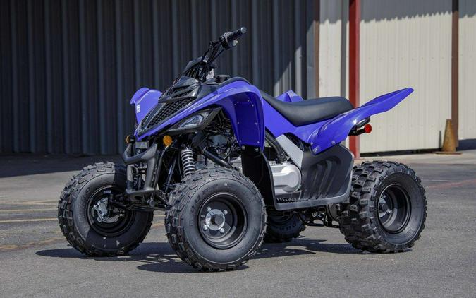 2025 Yamaha Raptor 110