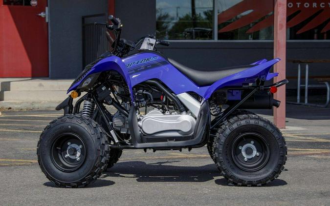 2025 Yamaha Raptor 110