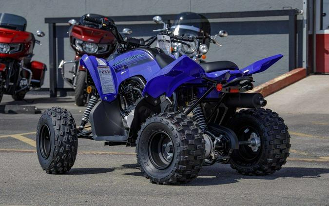 2025 Yamaha Raptor 110