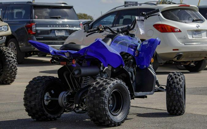 2025 Yamaha Raptor 110