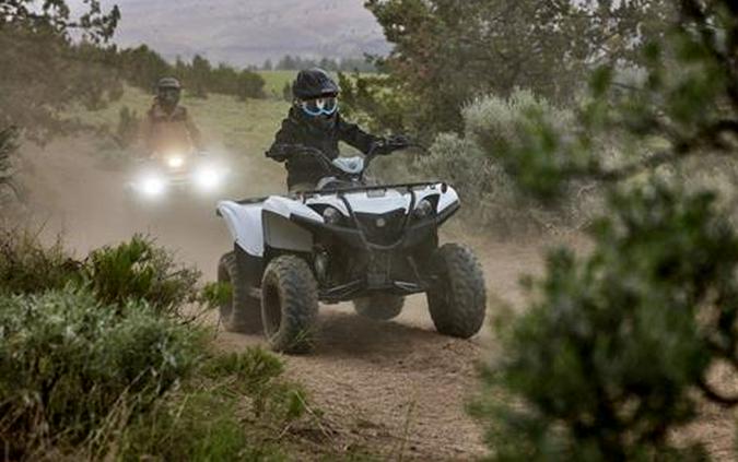 2024 Yamaha Grizzly 90