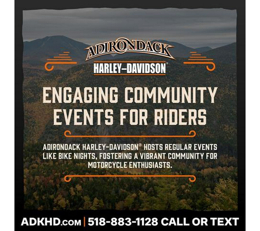 2010 Harley-Davidson Sportster® Iron 883™