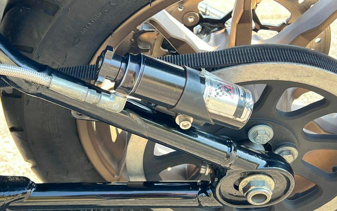 2022 Harley-Davidson FXLRS - Low Rider S