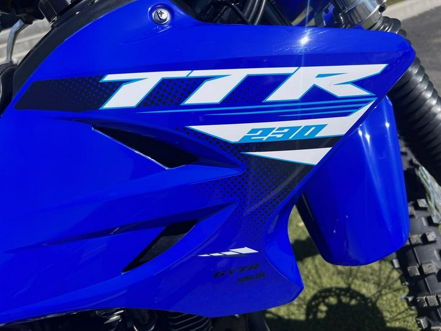 2025 Yamaha TT-R230