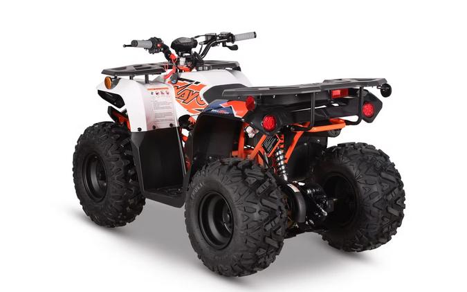 2026 Kayo Bull 125 EFI