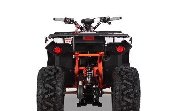 2026 Kayo Bull 125 EFI