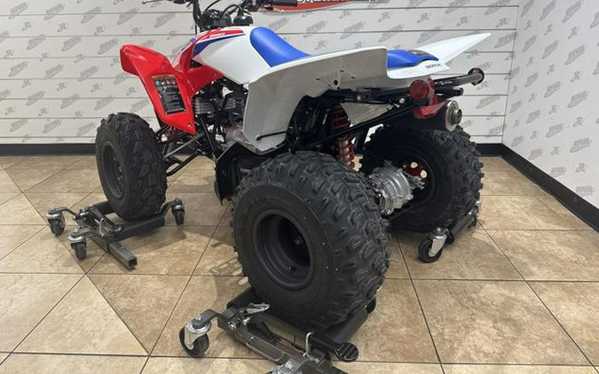 2026 Honda TRX 250X
