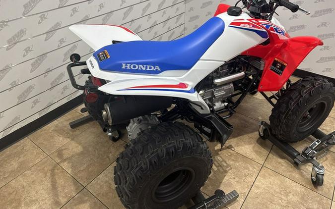 2026 Honda TRX 250X