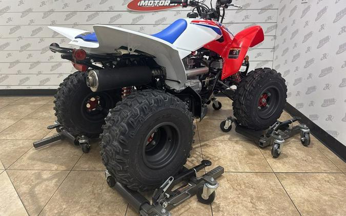 2026 Honda TRX 250X